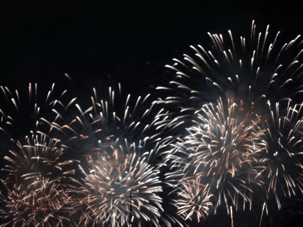 Si avvicina la Festa Nazionale del Principato di Monaco: ecco il programma Si avvicina la Festa Nazionale del Principato di Monaco: ecco il programma