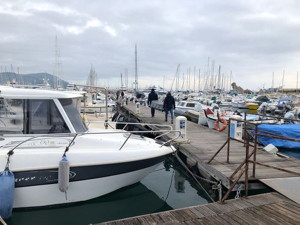 Tragedia alla Marina di Porto Maurizio, cade in mare e annega un pescatore dilettante  (foto) Tragedia alla Marina di Porto Maurizio, cade in mare e annega un pescatore dilettante  (foto)