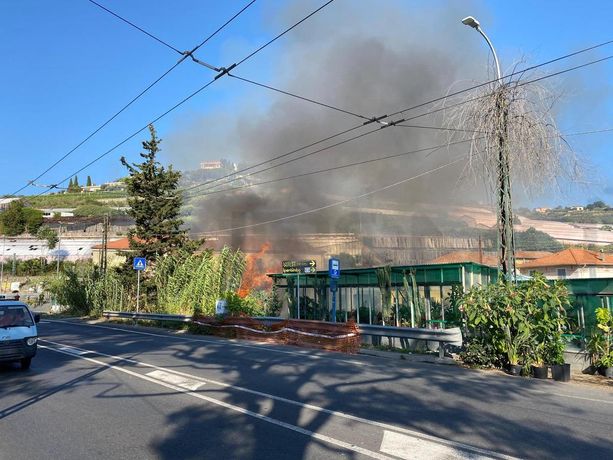 Sanremo: vasto incendio a Bussana, traffico bloccato sull'Aurelia (foto e video) Sanremo: vasto incendio a Bussana, traffico bloccato sull'Aurelia (foto e video)