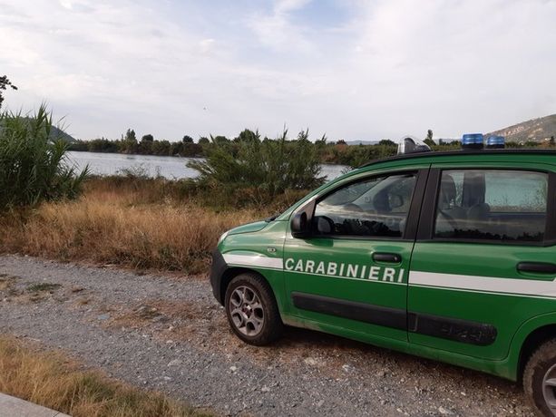 Incendio boschivo ad Andora, piromane denunciata dai Forestali Incendio boschivo ad Andora, piromane denunciata dai Forestali