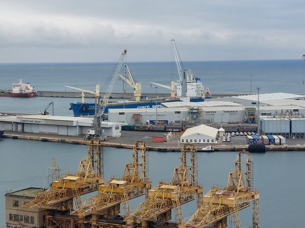 Maxi operazione antidroga in porto a Savona: controlli su nave con cellulosa Maxi operazione antidroga in porto a Savona: controlli su nave con cellulosa