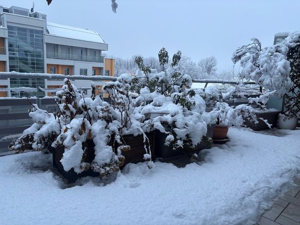 La neve imbianca la Granda: disagi contenuti e scatta il Piano Neve