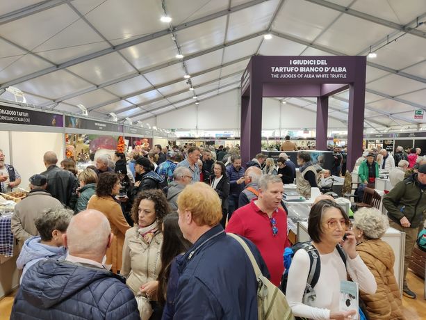 Grande folla al Mercato mondiale del Tartufo Bianco d’Alba. "Prezzi tra 350 – 600 euro all’etto" [FOTO E VIDEO]