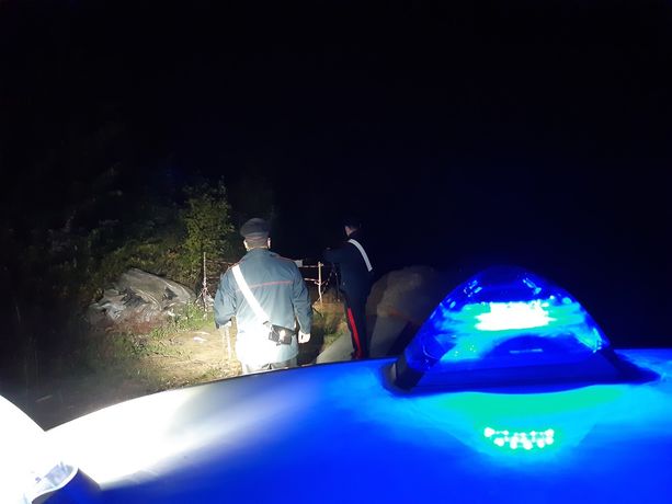 Carcasse di cinghiali smaltiti illecitamente in una fossa aperta: sequestrata l’area, tre persone segnalate all’autorità giudiziaria Carcasse di cinghiali smaltiti illecitamente in una fossa aperta: sequestrata l’area, tre persone segnalate all’autorità giudiziaria