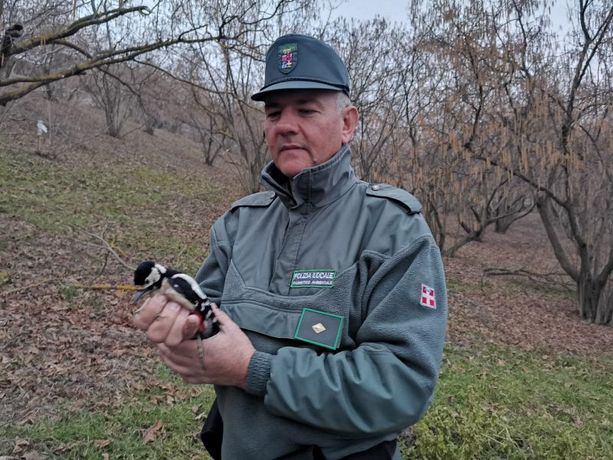 Controlli sull'attività venatoria: nel 2019 circa 1800 i controlli della Provincia