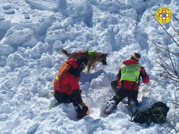 Valanga ad Acceglio in alta Valle Maira: tre scialpinisti in salvo, uno ancora sotto la neve