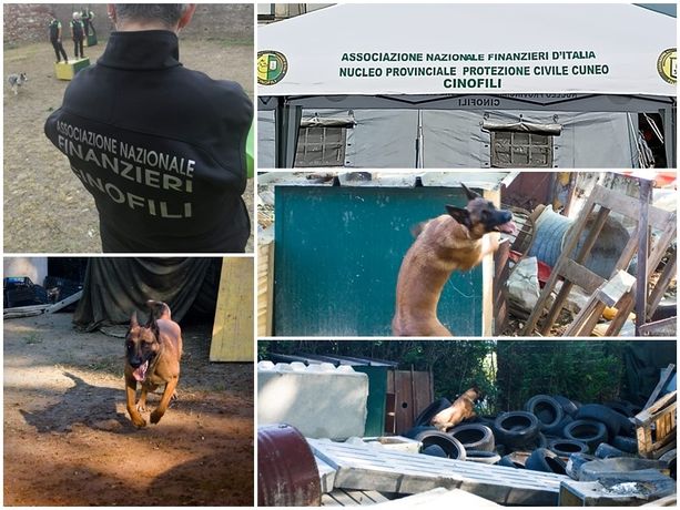 In Granda arrivano 60 unità cinofile da tutto il mondo per sfidarsi in operazioni di recupero e soccorso [FOTO]