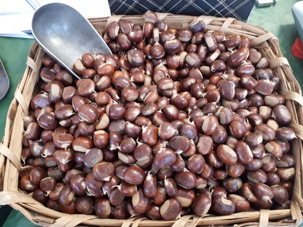 La Fiera del Marrone tornerà nel 2021? &quot;L'intenzione c'è. E rispetto all'anno scorso, siamo preparati a gestirla con norme anti-Covid&quot;