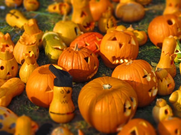 Scopri cosa puoi fare in questo lungo fine settimana, tra Halloween e la festività di Ognissanti Scopri cosa puoi fare in questo lungo fine settimana, tra Halloween e la festività di Ognissanti