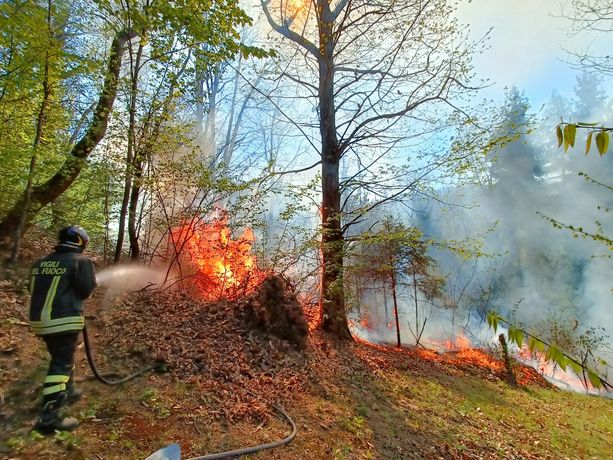 Ancora fiamme nei boschi, vigili del fuoco e AIB impegnati su tre fronti. A Cervasca il rogo più esteso