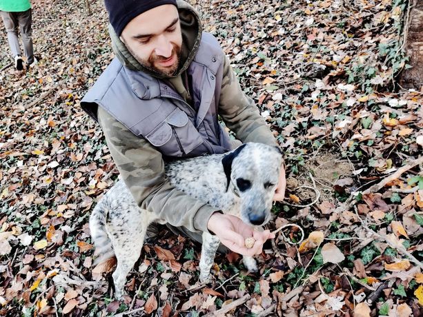 A Vezza d’Alba in cerca di tartufi nel bosco del “Trifolao” [FOTO E VIDEO]