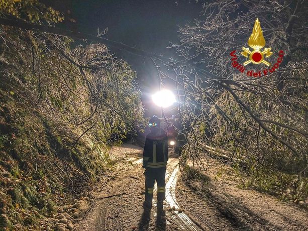 Allagamenti e alberi caduti per il maltempo: numerose le richieste di intervento ai Vigili del Fuoco della Granda Allagamenti e alberi caduti per il maltempo: numerose le richieste di intervento ai Vigili del Fuoco della Granda