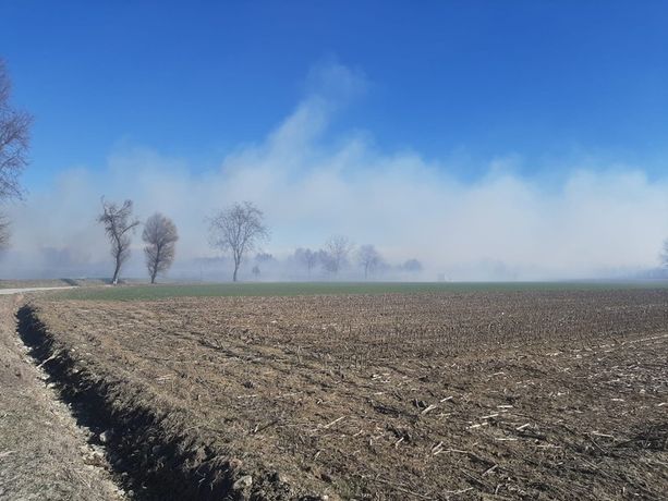 Fiamme spinte da vento e siccità corrono nei campi di mais di Cavour