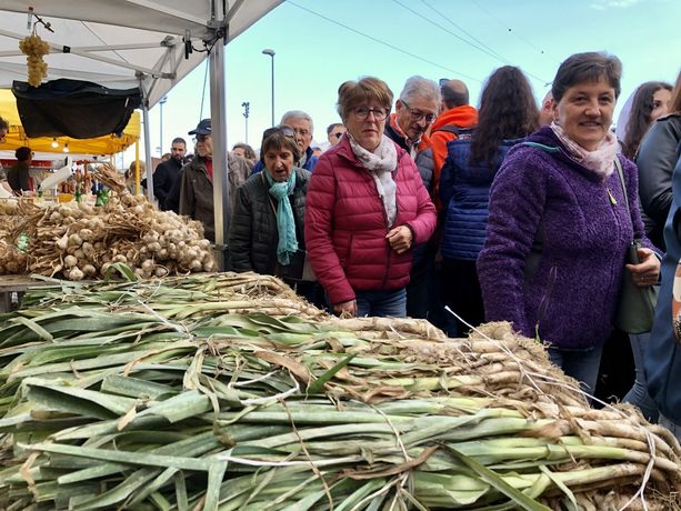 Luserna San Giovanni: dopo la sfilata, continua la Fiera [FOTO e VIDEO]