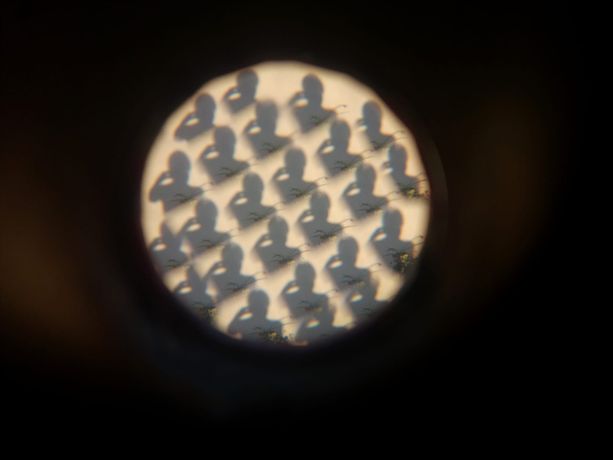 Visioni caleidoscopiche alla Casa col Forno di Rorà