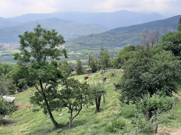 Stop alla caccia a Costagrande, il Consiglio di Stato dà ragione al Comune