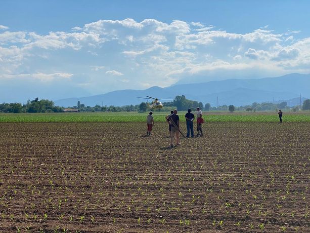 Agricoltore viene travolto dalla sua mucca in fuga a Riva di Pinerolo Agricoltore viene travolto dalla sua mucca in fuga a Riva di Pinerolo
