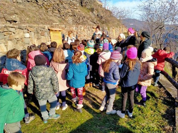 Indovinelli tra i vigneti e la ricerca di animali mancanti sull’arca di Noè Indovinelli tra i vigneti e la ricerca di animali mancanti sull’arca di Noè