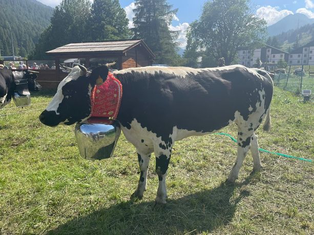 La prima ‘Miss Manza’ di Pragelato è Regina di Buriasco