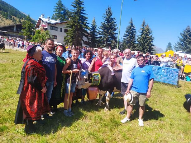 Tempesta è la ‘Miss delle Miss’ tra le mucche in gara a Pragelato Tempesta è la ‘Miss delle Miss’ tra le mucche in gara a Pragelato