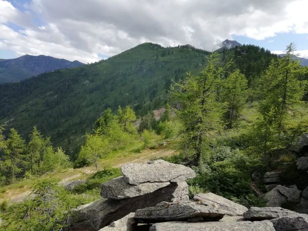 I boschi di Angrogna, Bobbio Pellice e Rorà sono degni del Pefc