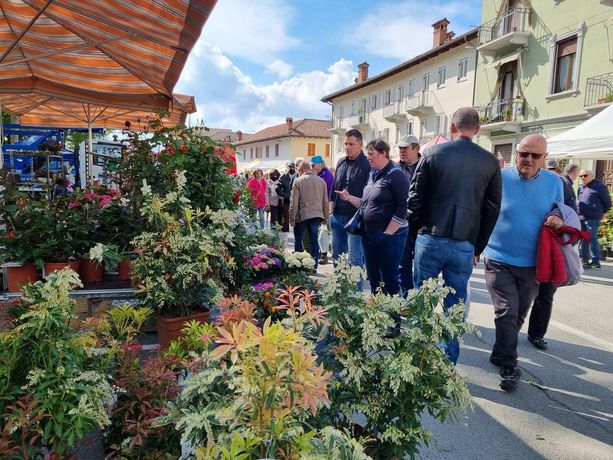 Dalle piazze alle scarpe, il centro di Vigone si colora con i fiori
