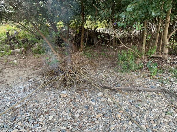 Accendono un fuoco nell’alveo del Pellice vicino alle piante: multata una famiglia Accendono un fuoco nell’alveo del Pellice vicino alle piante: multata una famiglia