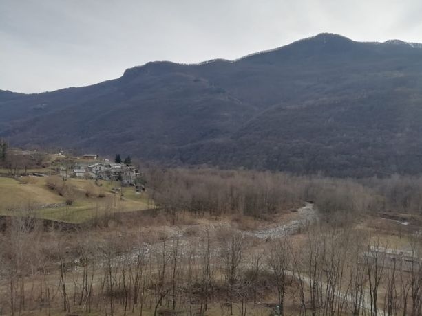 Villar Pellice lancia uno studio sulla popolazione dei lupi in Alta Valle