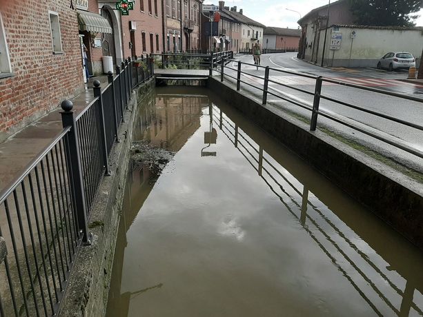 Pesci morti a Virle Piemonte: «Voglio andare fino in fondo»