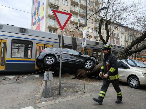 Tram 15 "aggancia" un'auto che finisce sopra un albero (e lo abbatte)
