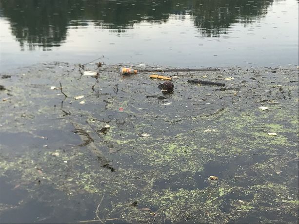 Un tuffo dove non c'è il mare. Anche Torino manifesta per chiedere fiumi e laghi più puliti Un tuffo dove non c'è il mare. Anche Torino manifesta per chiedere fiumi e laghi più puliti