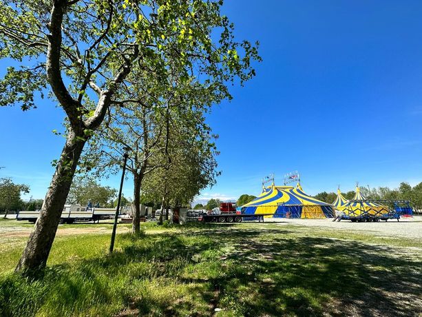 “Nessun albero sarà abbattuto per l’ospedale”: ma alla Pellerina trionfa il verde, anche nell’area dei giostrai “Nessun albero sarà abbattuto per l’ospedale”: ma alla Pellerina trionfa il verde, anche nell’area dei giostrai