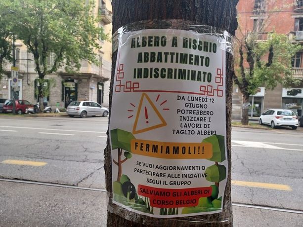 “Salviamo gli alberi di corso Belgio”, un'assemblea pubblica e un'opera d'arte collettiva per sensibilizzare i cittadini “Salviamo gli alberi di corso Belgio”, un'assemblea pubblica e un'opera d'arte collettiva per sensibilizzare i cittadini