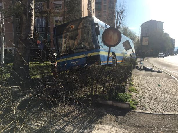 Autobus esce di strada alla banchina: tragedia sfiorata alla Falchera Autobus esce di strada alla banchina: tragedia sfiorata alla Falchera