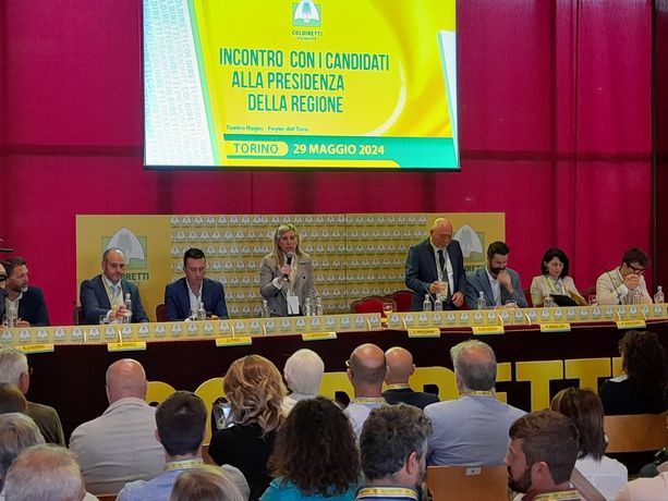Dieci partite da vincere: ecco il "programma" di Coldiretti per il prossimo governatore del Piemonte: "Nessuno parla di agricoltura" Dieci partite da vincere: ecco il "programma" di Coldiretti per il prossimo governatore del Piemonte: "Nessuno parla di agricoltura"