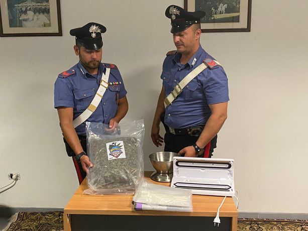 Collegno, sfugge all'alt con un chilo di marijuana in auto, ma si scontra contro un'altra vettura Collegno, sfugge all'alt con un chilo di marijuana in auto, ma si scontra contro un'altra vettura