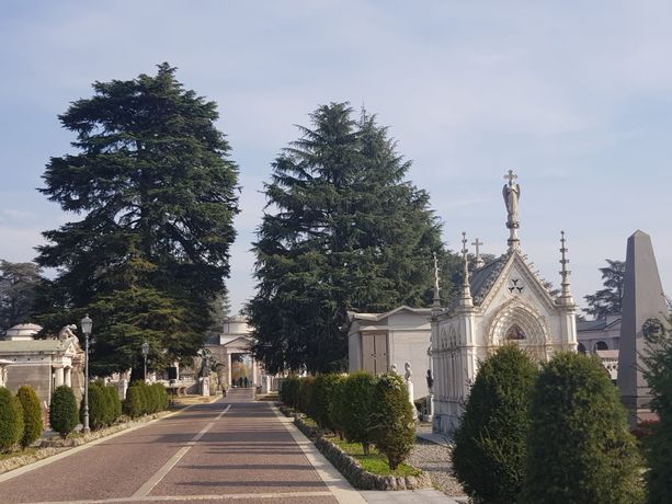 Il Consiglio comunale spinge per riqualificare il Cimitero Monumentale: “Patrimonio sacro e artistico”