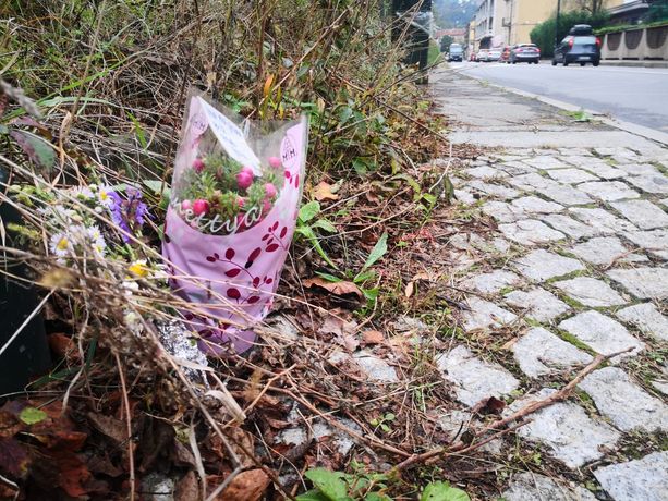 "Una preghiera per te piccola gioia". Fiori per ricordare Emilia Maidaska, uccisa a 16 anni da un'auto "Una preghiera per te piccola gioia". Fiori per ricordare Emilia Maidaska, uccisa a 16 anni da un'auto
