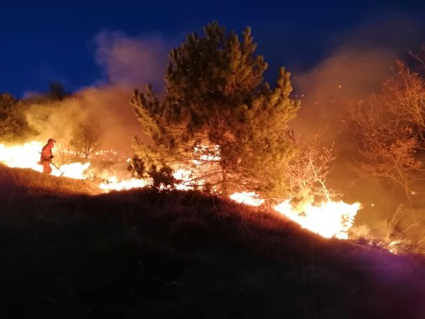 Val della Torre, dopo più di 16 ore di lavoro domato l'incendio del monte Musinè Val della Torre, dopo più di 16 ore di lavoro domato l'incendio del monte Musinè