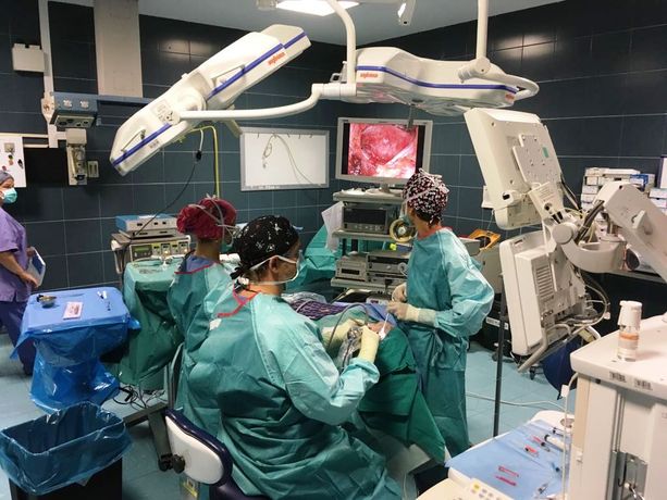 Bimba libanese di tre anni salvata al Regina Margherita grazie al trapianto di midollo osseo donato dal padre Bimba libanese di tre anni salvata al Regina Margherita grazie al trapianto di midollo osseo donato dal padre