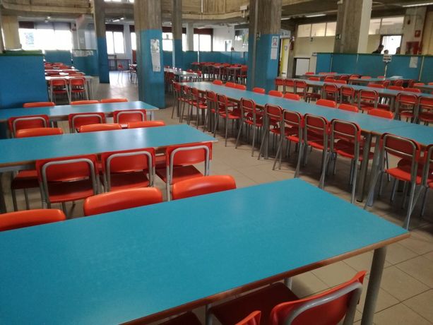 Pranzo a scuola: il Comune di Torino riporta un pasto vegano al mese, chef in cucina e mensa fresca Pranzo a scuola: il Comune di Torino riporta un pasto vegano al mese, chef in cucina e mensa fresca
