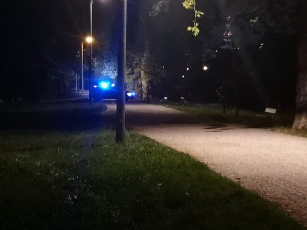 Rinvenuto un residuato bellico lungo il Po, chiusa parte del Parco Michelotti