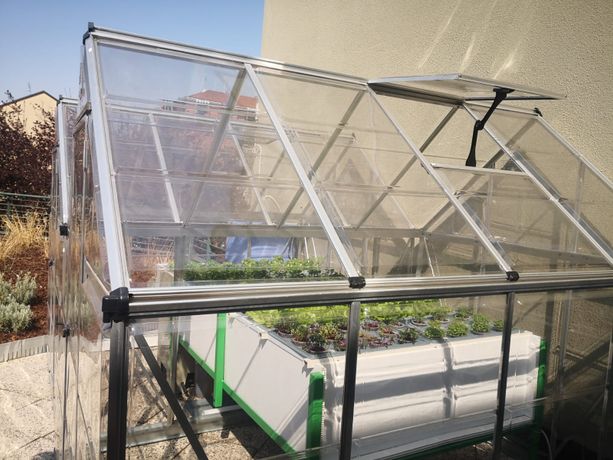 Entro l'estate a Torino due pensiline bus verdi con piante: "Nel 2023 saranno 18" Entro l'estate a Torino due pensiline bus verdi con piante: "Nel 2023 saranno 18"