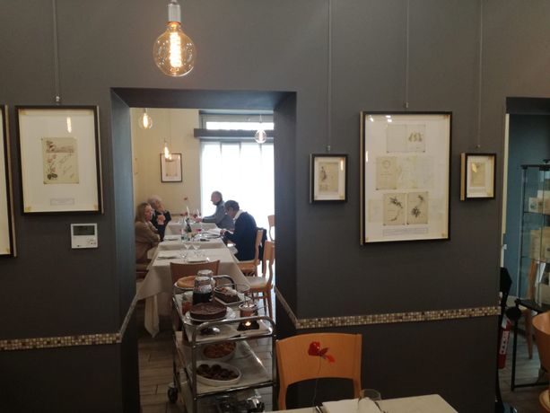 Il risveglio della Torino "gialla", bar e ristoranti provano a ripartire. "Ma adesso servono regole chiare e certezze" [FOTO e VIDEO]