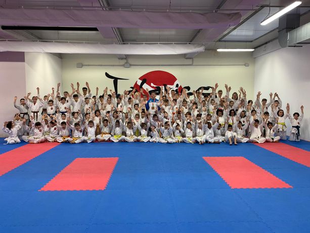 Dal sogno delle Olimpiadi di Tokyo alle lezioni online: il karate del maestro Talarico non si arrende al lockdown Dal sogno delle Olimpiadi di Tokyo alle lezioni online: il karate del maestro Talarico non si arrende al lockdown