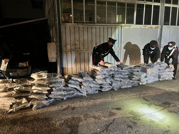 VIDEO. Maxi sequestro di droga messo a segno dai carabinieri di Varese: nel rimorchio sotto il trattore spuntano 220 chili di hashish e marijuana
