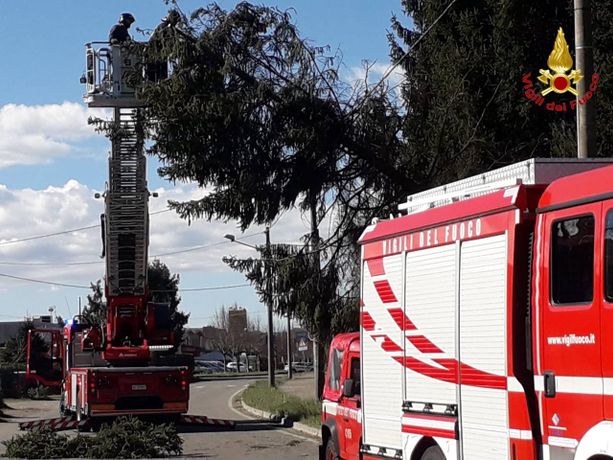 Raffiche di forte vento spazzano il Varesotto: vigili del fuoco al lavoro per piante cadute e incendi