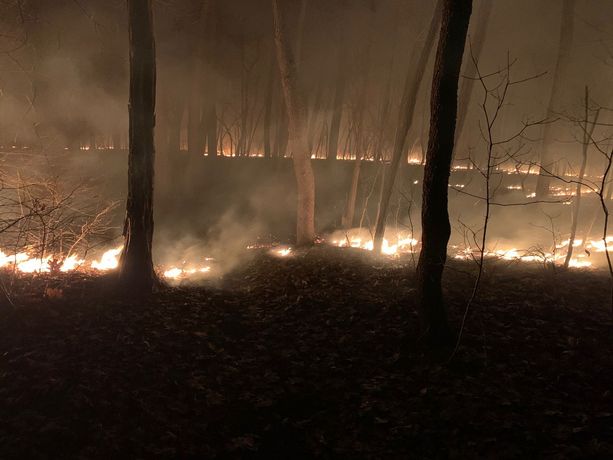 FOTO. Tornano a bruciare i boschi del Varesotto: fiamme in Valle Olona e a Jerago FOTO. Tornano a bruciare i boschi del Varesotto: fiamme in Valle Olona e a Jerago