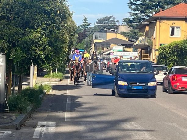 Gli allevatori dell'Ippodromo di Varese sfilano per protesta con i cavalli per le vie della città Gli allevatori dell'Ippodromo di Varese sfilano per protesta con i cavalli per le vie della città