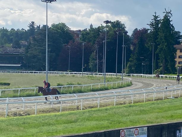 Cavalli in pista alle Bettole, ma serve un passo in più perché non sia un fuoco di paglia Cavalli in pista alle Bettole, ma serve un passo in più perché non sia un fuoco di paglia